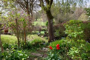 Garden- click for photo gallery